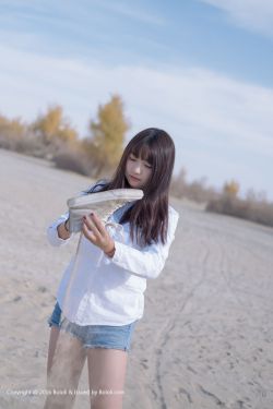 川军团血战到底
